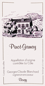 Gamay - Pinot Noir